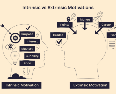 Intrinsic motivation is the key to leadership performance